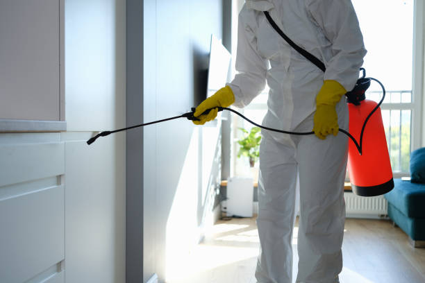 Best Commercial Mold Remediation in Point Pleasant, WV