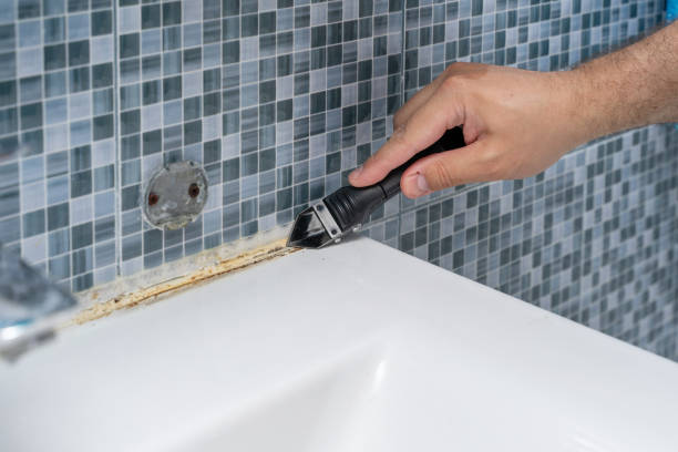 Best Black Mold Remediation in Point Pleasant, WV