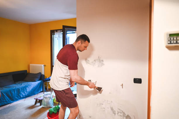 Best Mold Remediation for Specific Building Types in Point Pleasant, WV